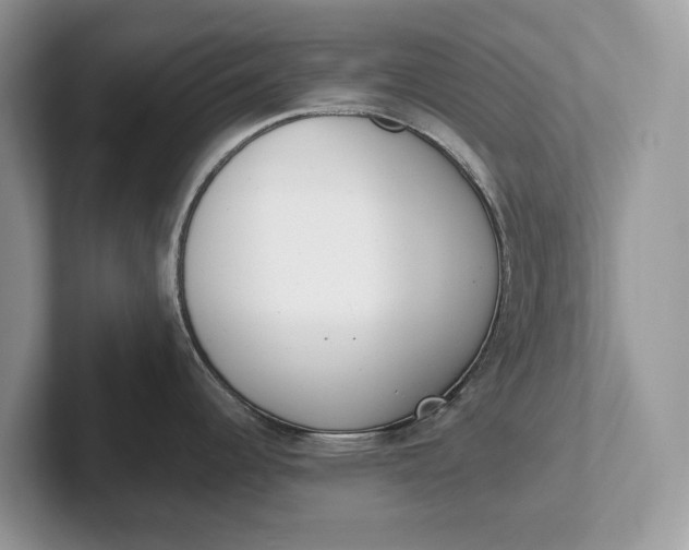 X0000101461344200807211325