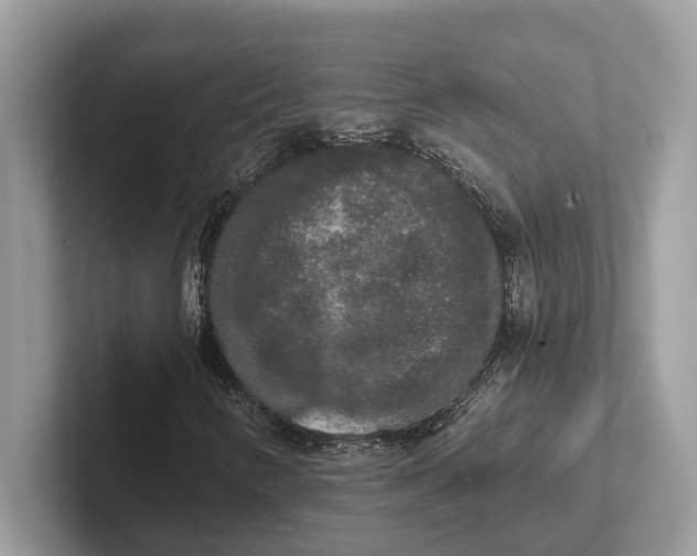 X0000101461346200807211325