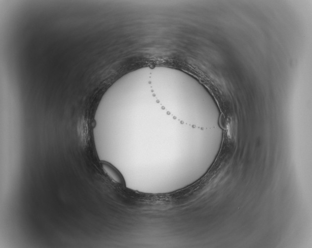 X0000101461347200807211325