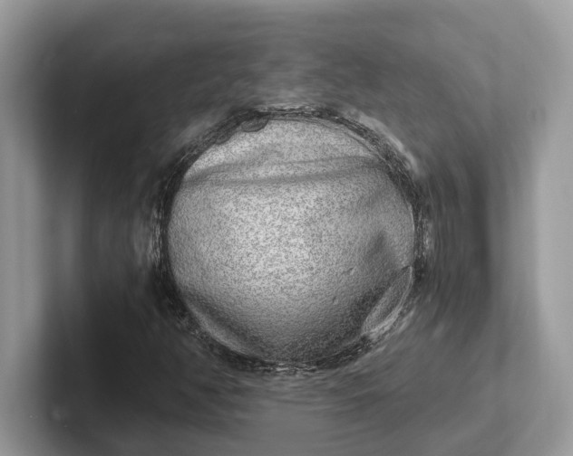 X0000101461350200807211325