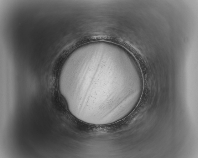 X0000101461351200807211325