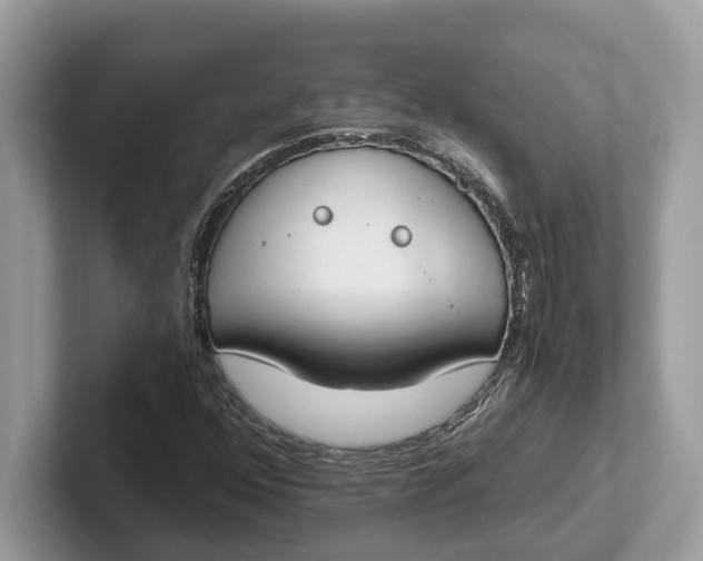 X0000101461352200807211325