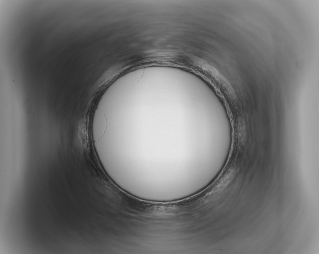 X0000101461354200807211325