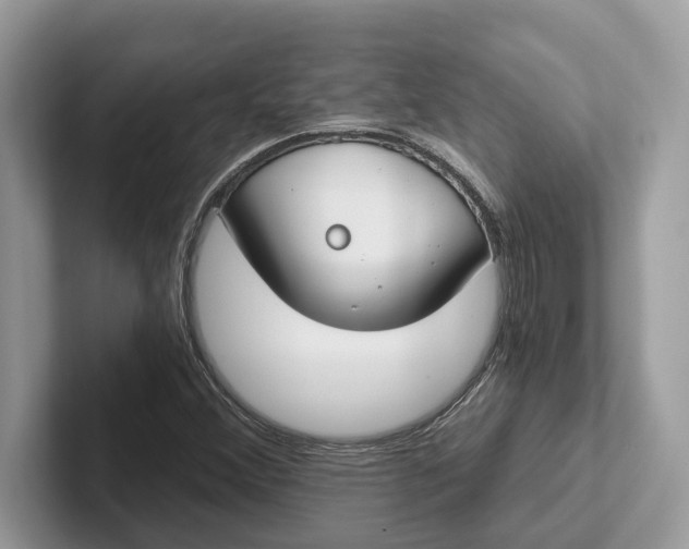 X0000101461356200807211325