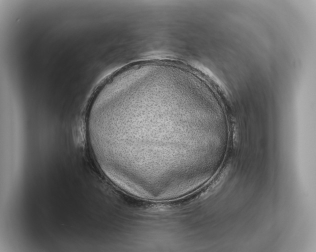 X0000101461358200807211325