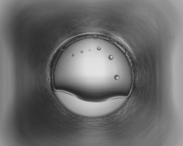 X0000101461360200807211325