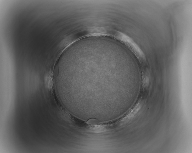 X0000101461361200807211325