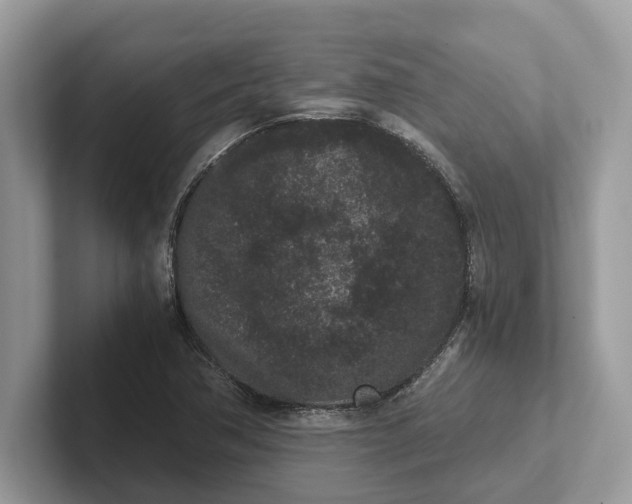 X0000101461362200807211325