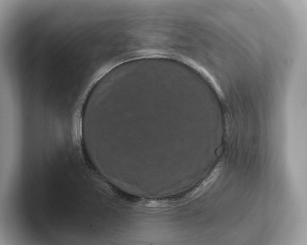 X0000101461365200807211324