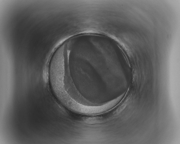 X0000101461367200807211324