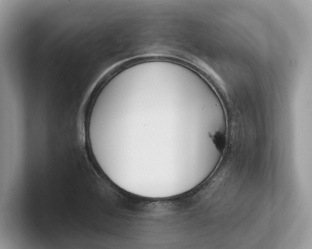 X0000101461368200807211324