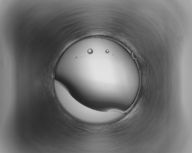 X0000101461369200807211324