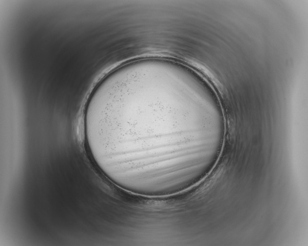 X0000101461371200807211324