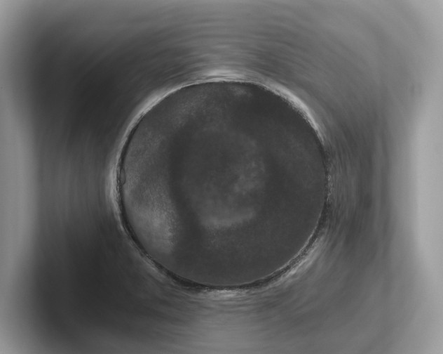 X0000101461373200807211324