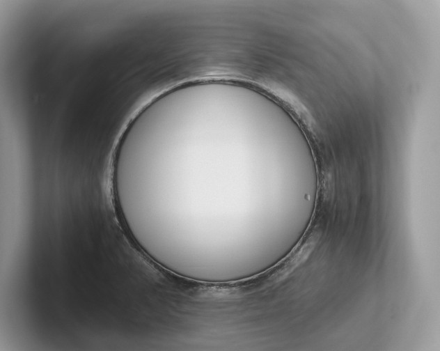 X0000101461374200807211324