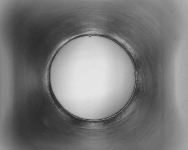 X0000101461375200807211324