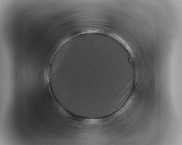 X0000101461377200807211324