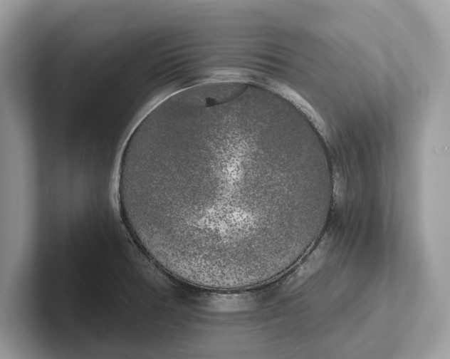 X0000101461378200807211324