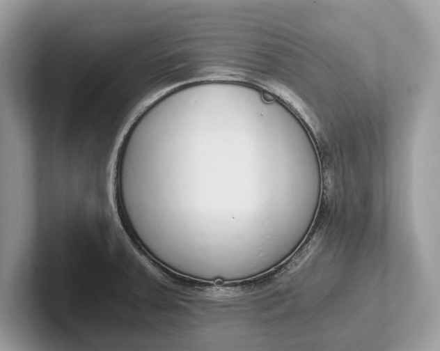 X0000101461379200807211324