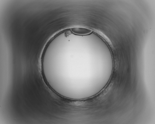 X0000101461380200807211324