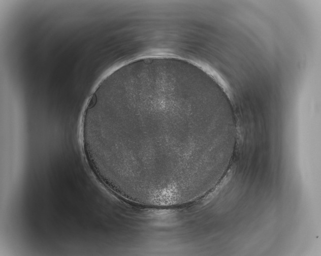 X0000101461382200807211324