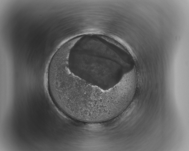 X0000101461383200807211324