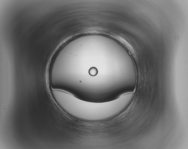 X0000101461384200807211324