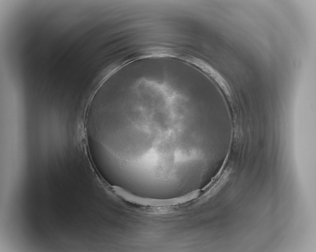 X0000101461385200807211324