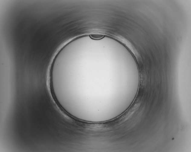 X0000101461387200807211324