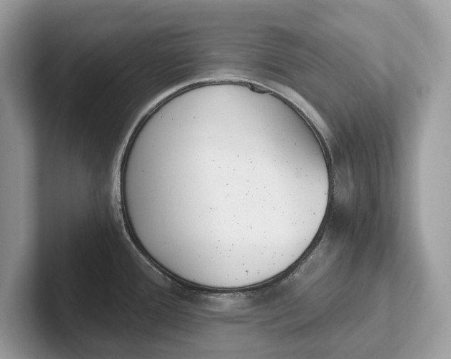 X0000101461388200807211324