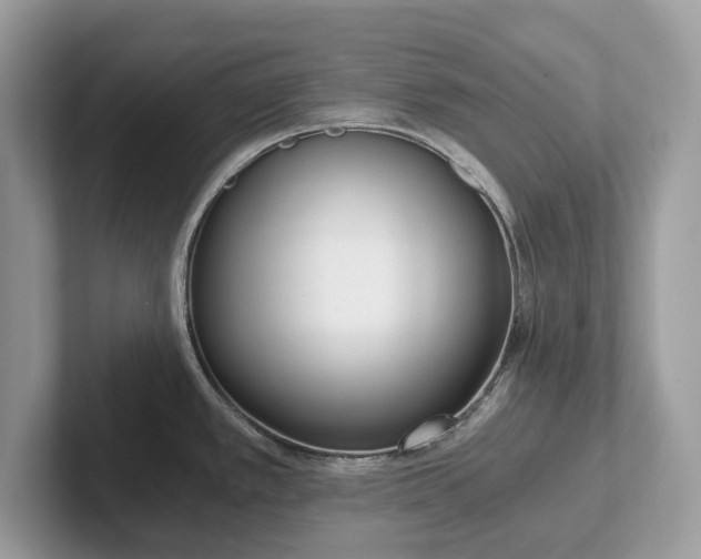 X0000101461389200807211324