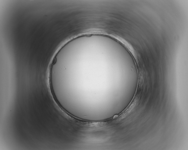 X0000101461390200807211324