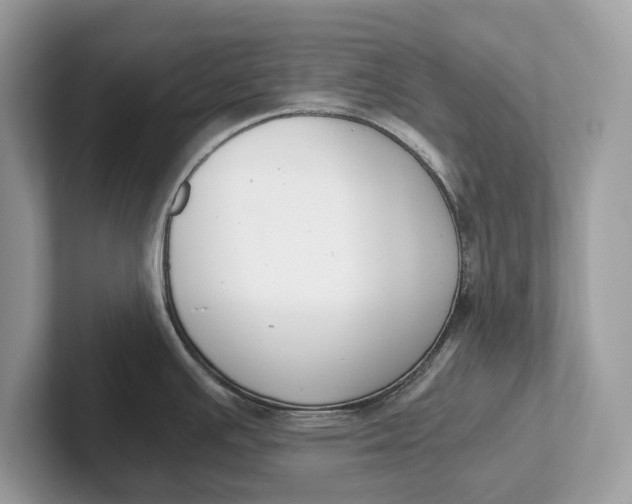 X0000101461391200807211324