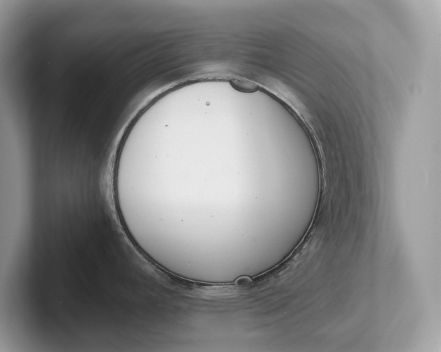 X0000101461392200807211324