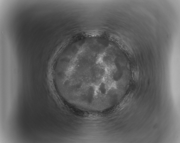 X0000101461393200807211323