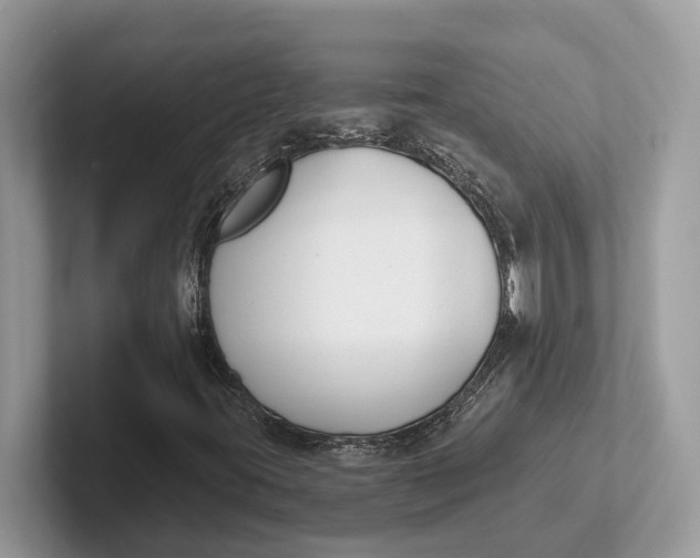 X0000101461395200807211323