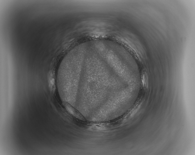 X0000101461396200807211324
