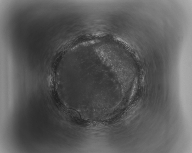 X0000101461397200807211324