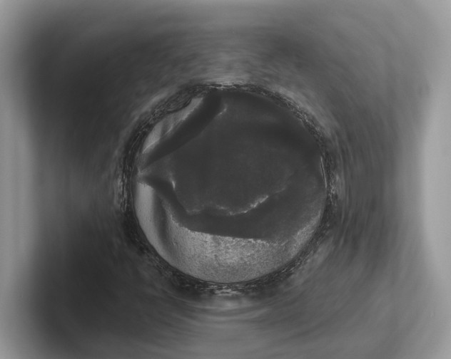 X0000101461398200807211324