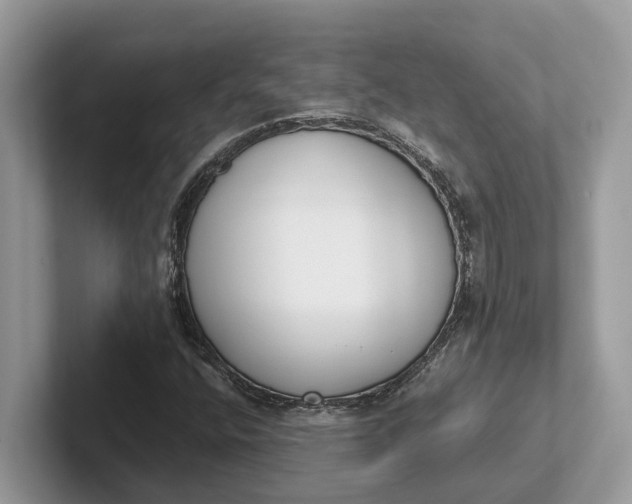X0000101461400200807211324
