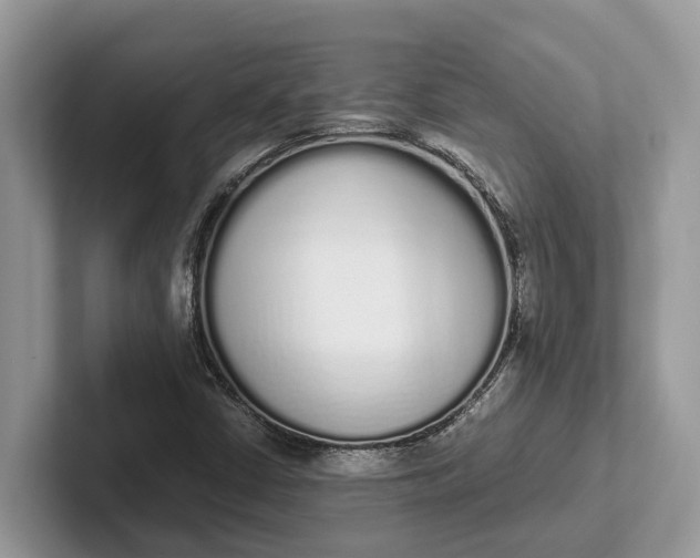 X0000101461402200807211324