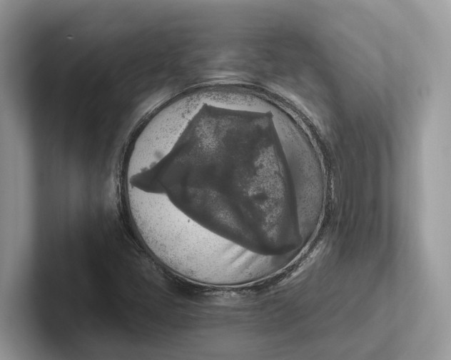 X0000101461405200807211324