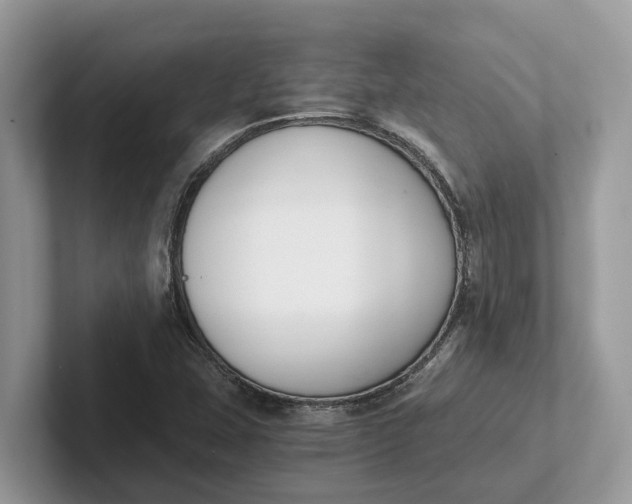 X0000101461407200807211324
