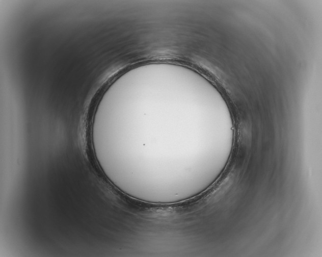 X0000101461410200807211324