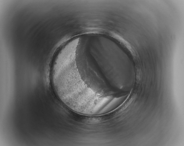 X0000101461411200807211324