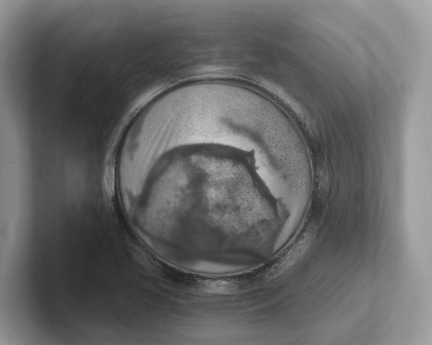 X0000101461413200807211324
