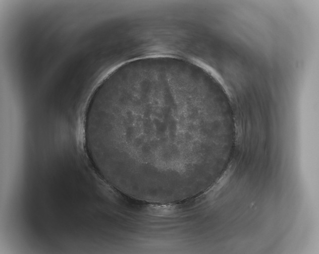 X0000101461415200807211324