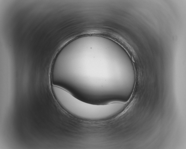 X0000101461417200807211324