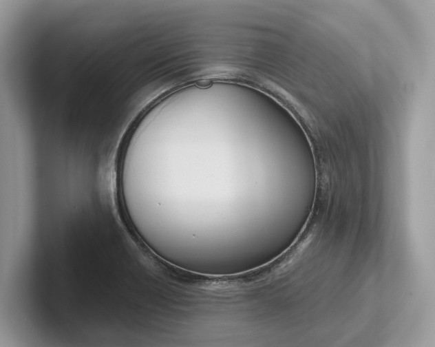 X0000101461418200807211324