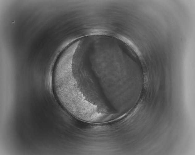 X0000101461419200807211324